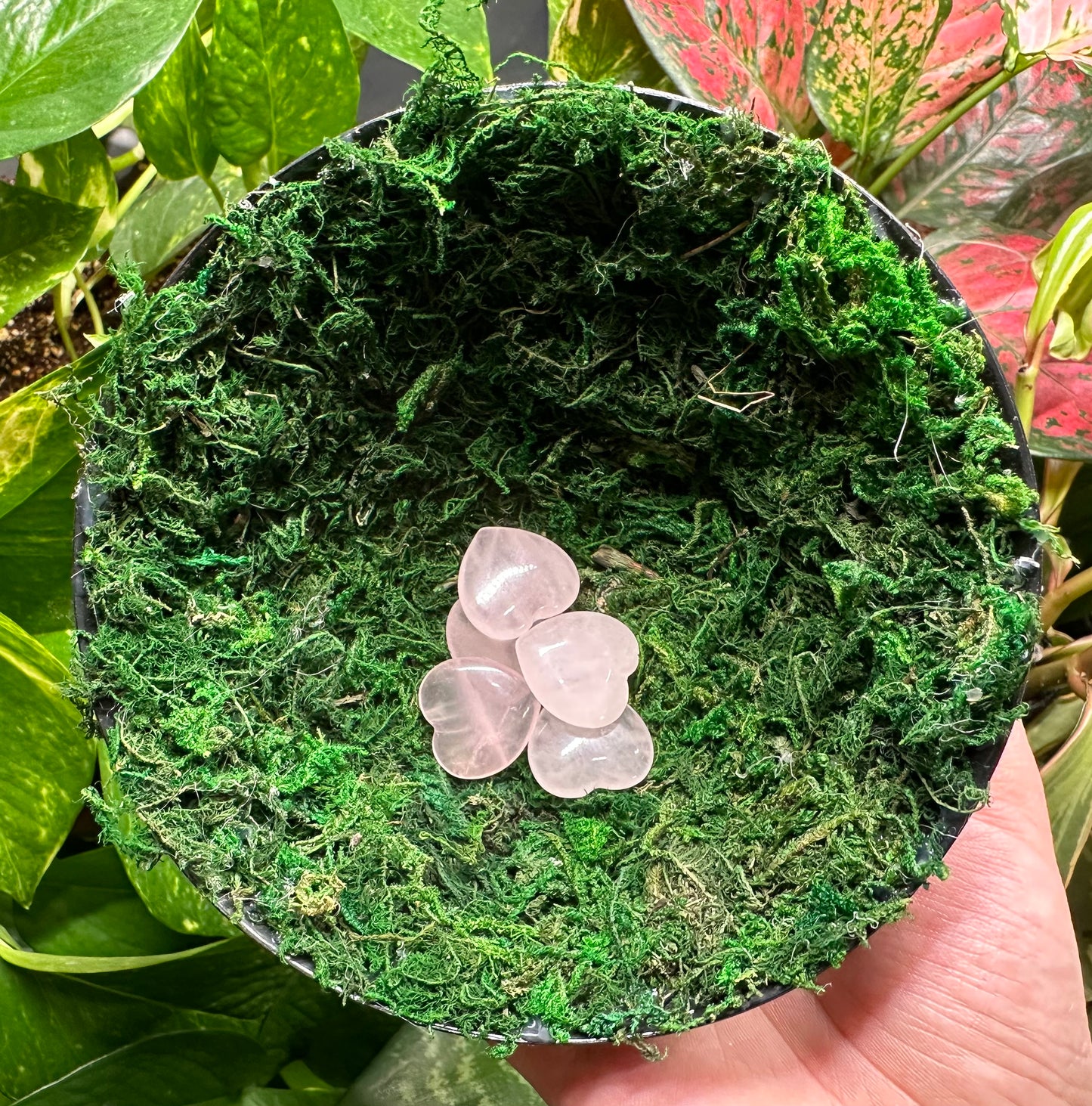 Mini Rose Quartz Heart