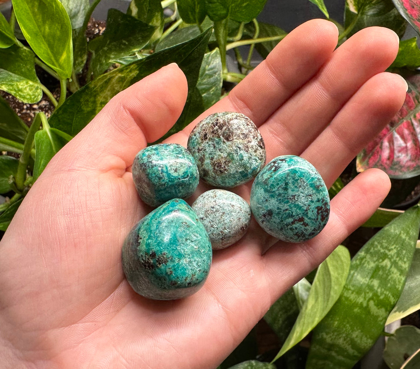 Chrysocolla Tumble