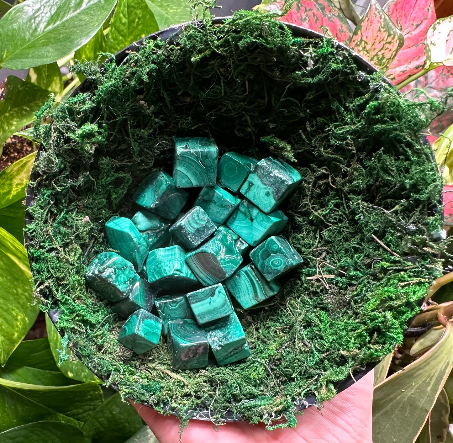 IMPERFECT Malachite Cubes