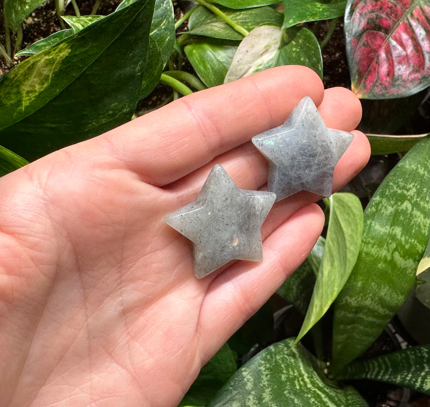 Mini Labradorite Star