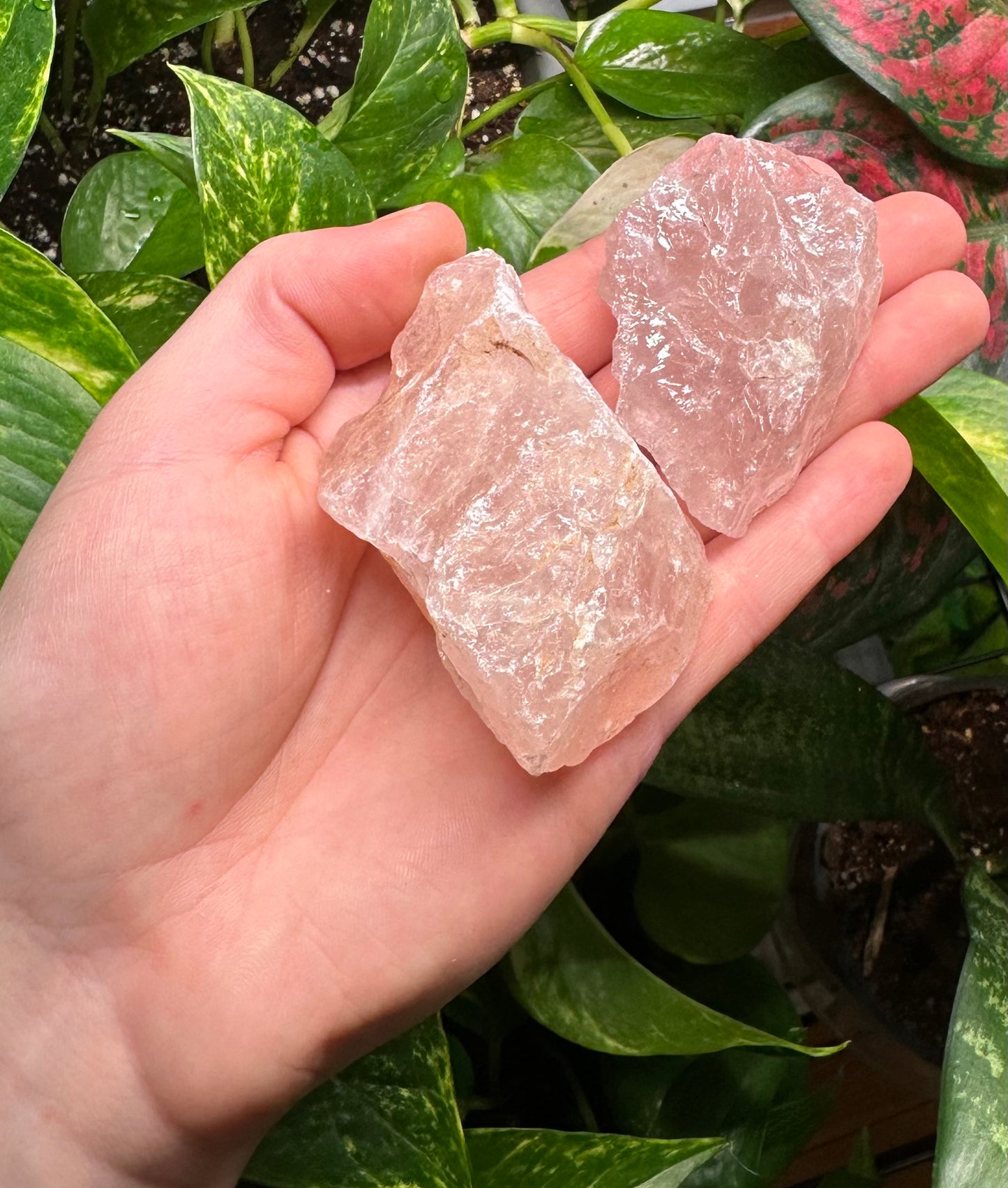 Large Rose Quartz