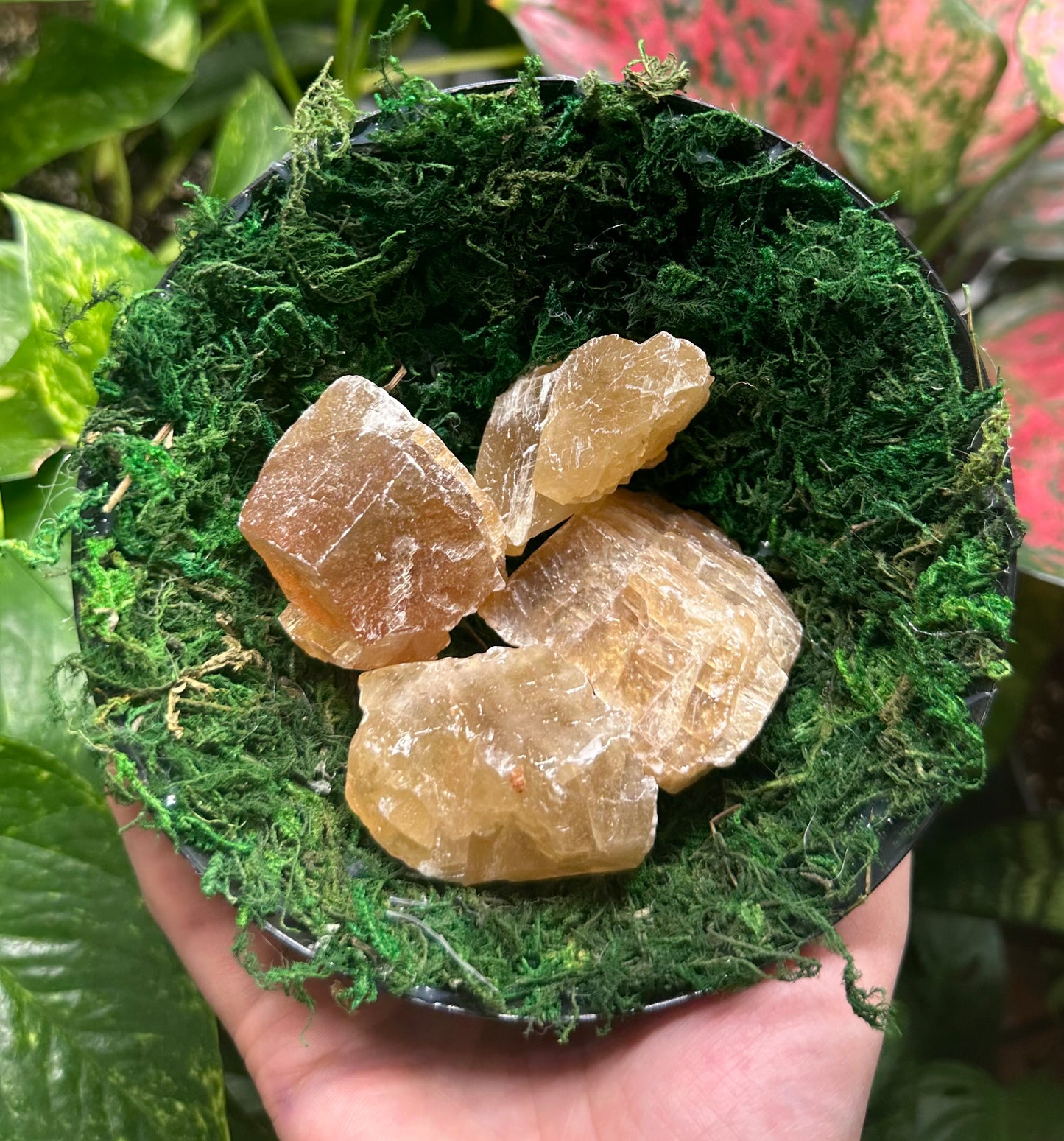 Large Honey Calcite