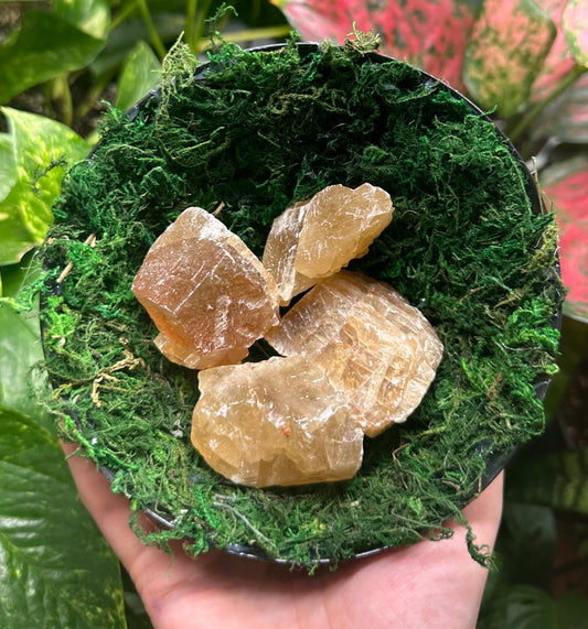 Large Honey Calcite