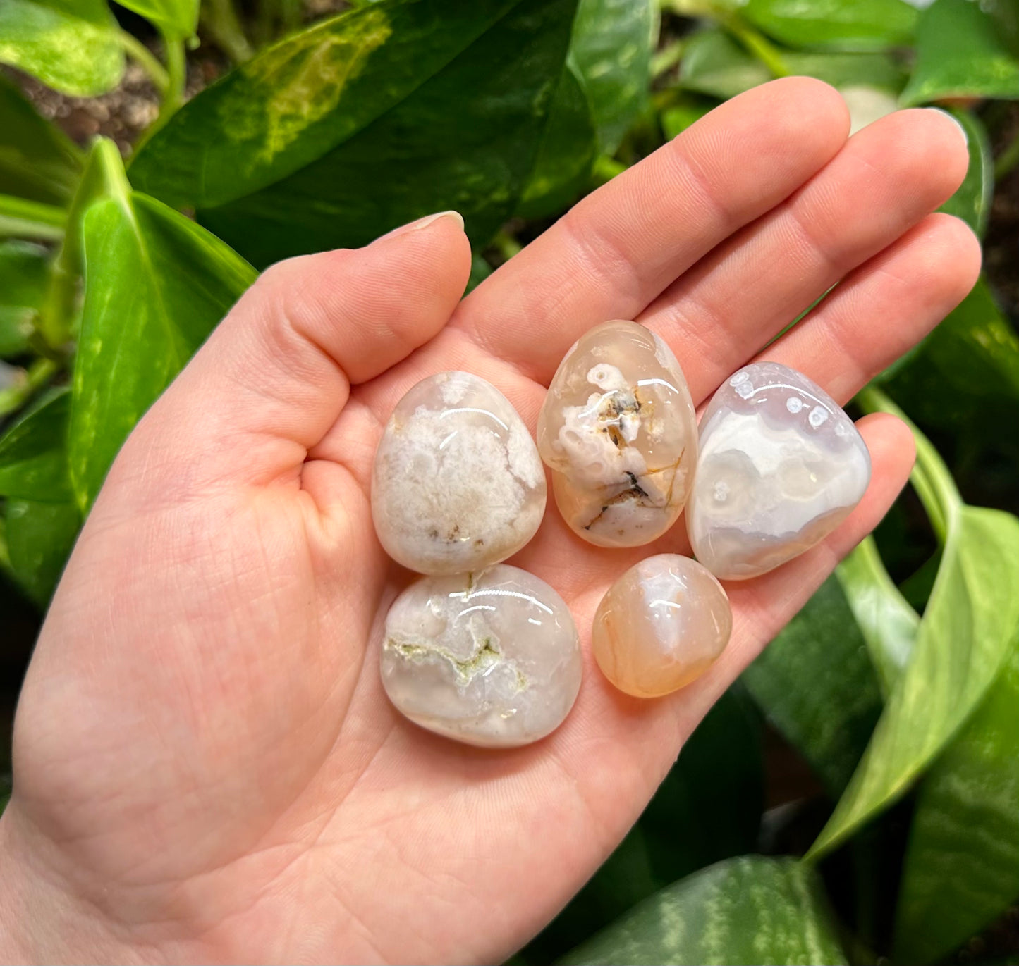 Flower Agate Tumble