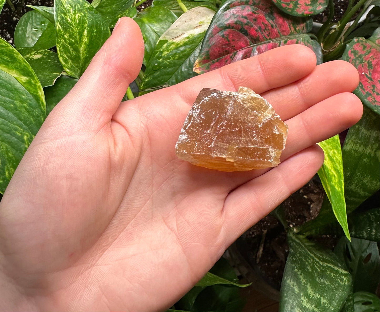 Large Honey Calcite